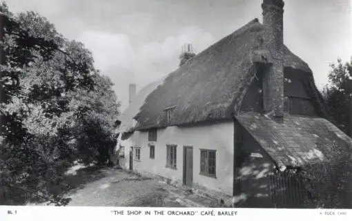 The Shop in the Orchard café