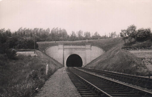 Molewood Tunnel