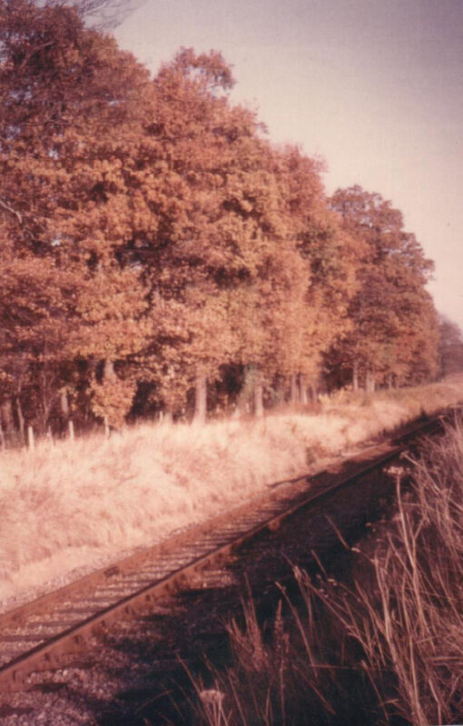Railway at Hertingfordbury
