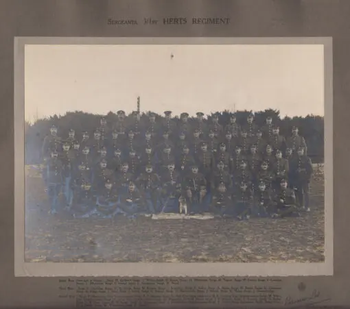 Hertfordshire Regiment Sergeants