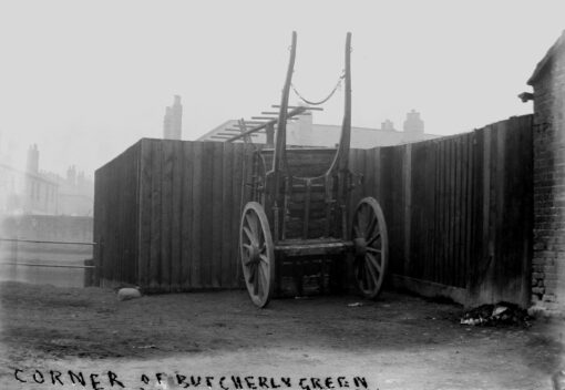 Butcherly Green