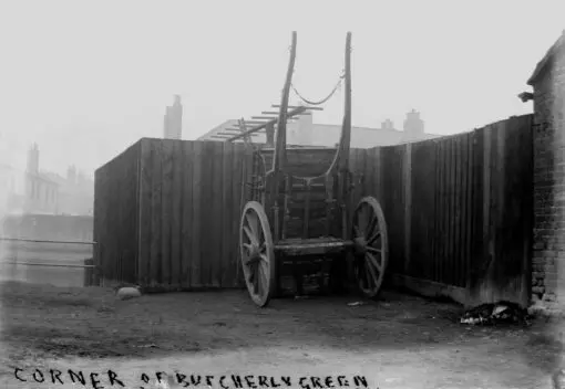 Butcherly Green