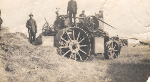 Stansted Abbots Harvesting c1895