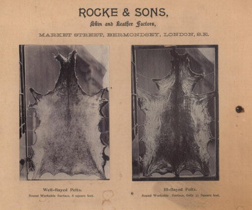 Rocke and Sons