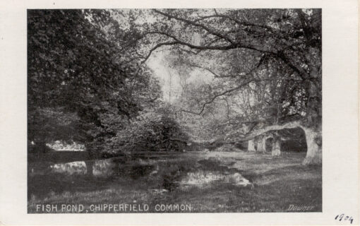 Chipperfield Common