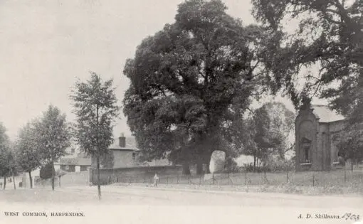 West Common