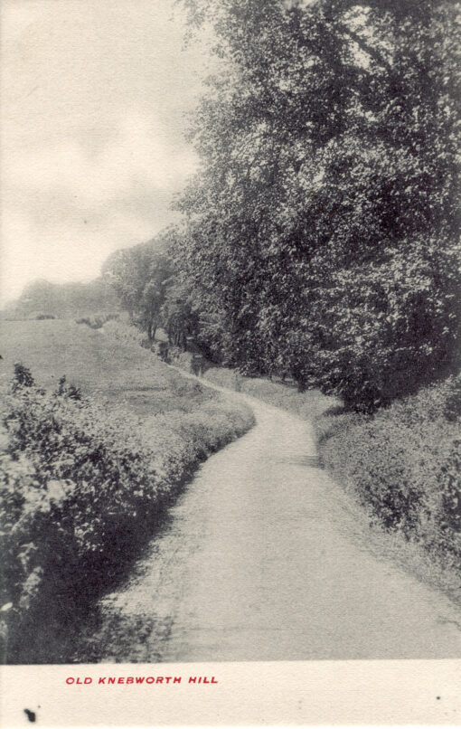 Old Knebworth Hill